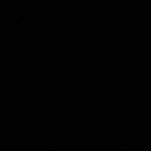 Meet your Posher, Lee